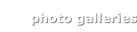 shapeimage_4_link_8