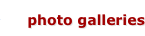 shapeimage_2_link_8