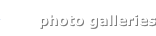 shapeimage_7_link_8