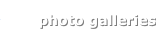 shapeimage_8_link_8