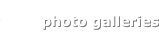 shapeimage_2_link_9