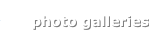 shapeimage_13_link_9