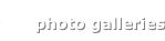 shapeimage_9_link_9