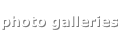 shapeimage_1_link_10