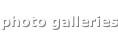shapeimage_4_link_10