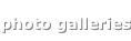 shapeimage_2_link_9