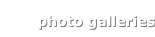 shapeimage_2_link_10