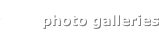 shapeimage_2_link_11
